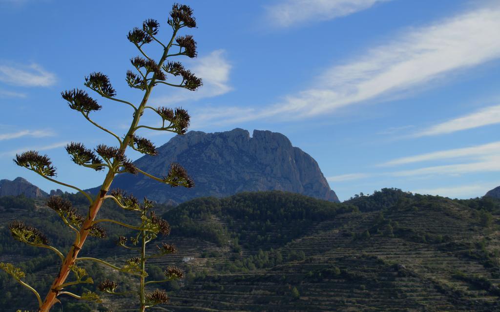 Alojamientos Turisticos Isa I Toni Sella Buitenkant foto